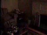 hommade videos riding dick