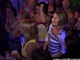 Amateur Sluts Suck Random Stripper Dick at CFNM Party