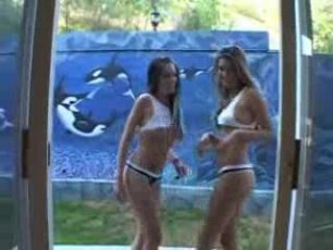 paola rey and randi wright : tea bags an...