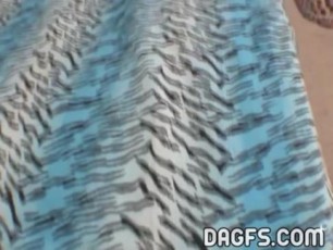 My ebony teen girlfriend loves to play with huge dildos. Watch how she toys her pussy with one then gives me a sloppy blowjob until cum fills her mouth.