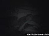 sneaky voyeur night sex