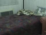 homemade clip from an asian couple fucking
