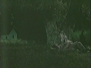 dyanna lauren fucked outdoors at night