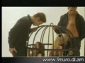 gilrs in a cage