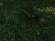 Have you ever seen young whores getting nailed by grandpas In either case these scenes will be a revelation to you the chicks donx27t mind in fact they crave mature hardcore sex!