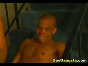 Hot black gays in a very hot cock sucking action then goes for an ass fucking. Black dudes eat cock and fuck their sweet hole.
