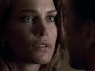 Natasha henstridge sex scene maximum risk