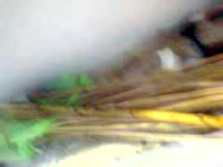 Dharmapuri Sivaraj Scandal Part 4 : XXXBunker.com Porn Tube