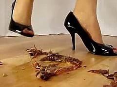 Honey Ruthless Lobster Crush : XXXBunker.com Porn Tube