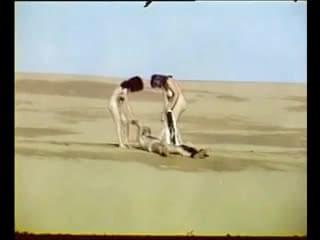 Turkish Vintage Porn - Sex At Desert : XXXBunker.com Porn Tube